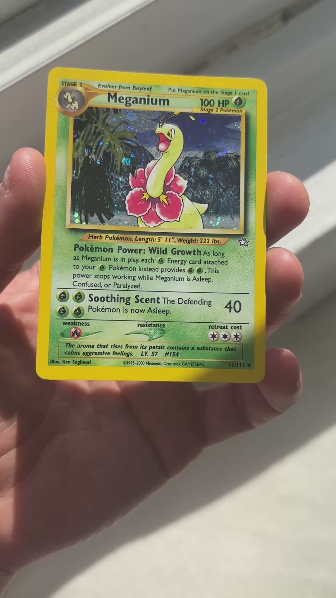 2000 Pokemon Meganium Neo Genesis #11/111 Holo close-up condition detail